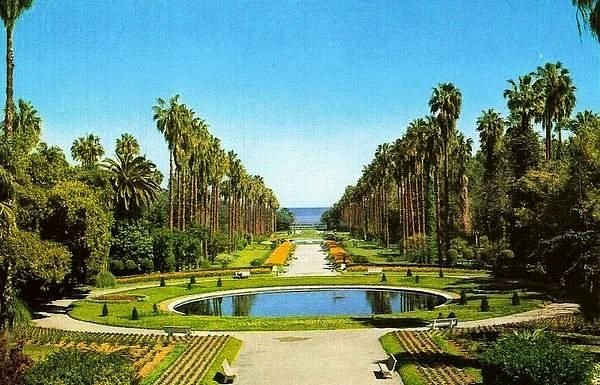 Botanical Garden Hamma