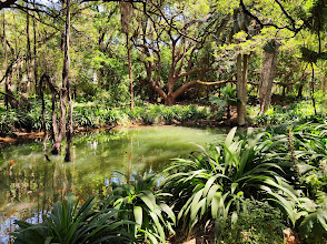 Botanical Garden Hamma