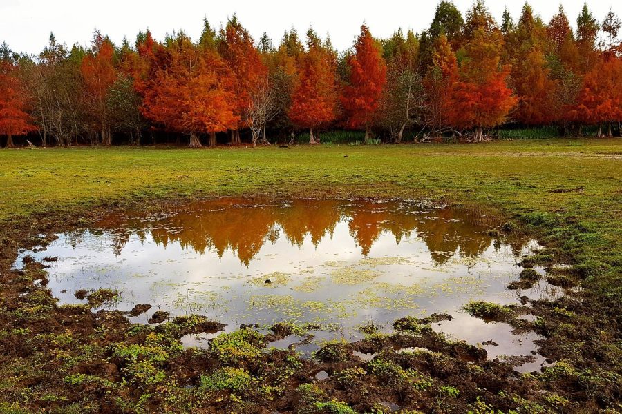 Lake Tonga